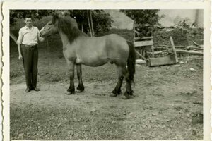 1961 Novi Kot – Štodlov ata s konjem in spomini na koline okrog leta 1955