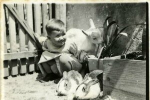 1970 Cerknica – Sožitje z živalmi